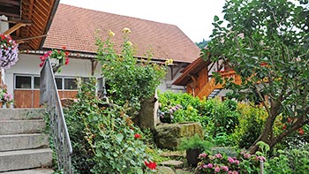 Herrlicher Bauerngarten
