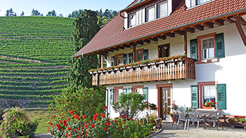 Der Winzerhof liegt inmitten von Weinbergen