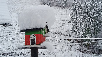 Winter im Reichenbachtal