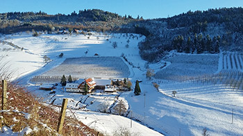 Winter im Reichenbachtal