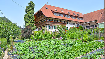 Unser schöner Bauerngarten
