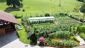Unser schöner Bauerngarten