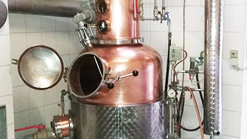 Hier entstehen unsere edlen Tropfen