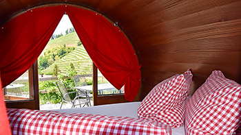 Ein gemütliches Bett mit traumhaftem Ausblick im Schlaffass