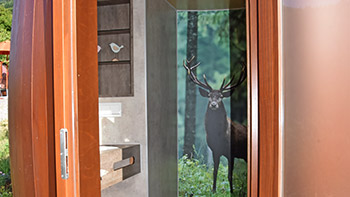 Duschfass mit Dusche, Toilette und fließend warmem Wasser