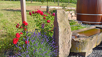 Originelle Unterkunft in herrlicher Umgebung