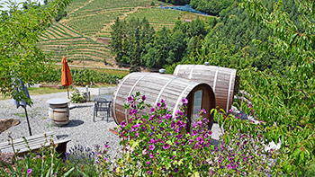 Die Fässer liegen inmitten von Obstbäumen und Weinreben